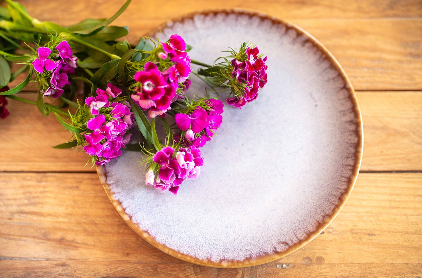 Amazonia Teller klein Creme I 4 Stück