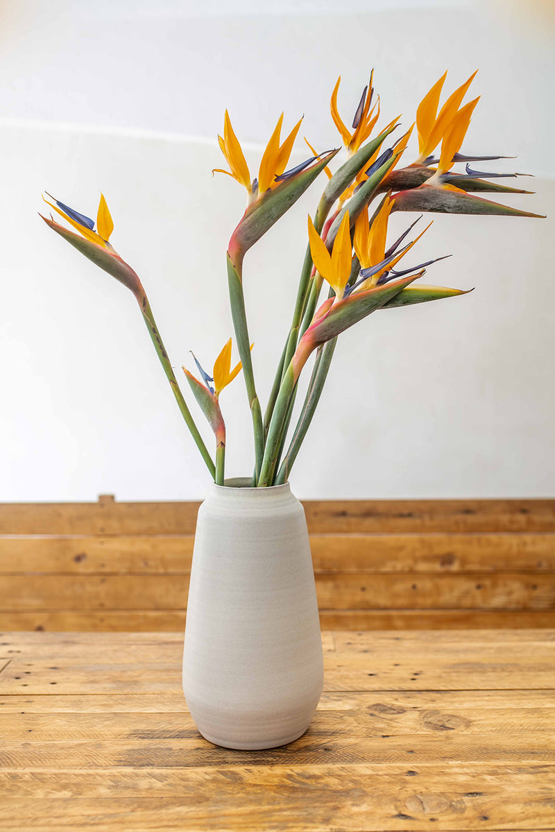 Weisse Keramik Vase Handgemacht 