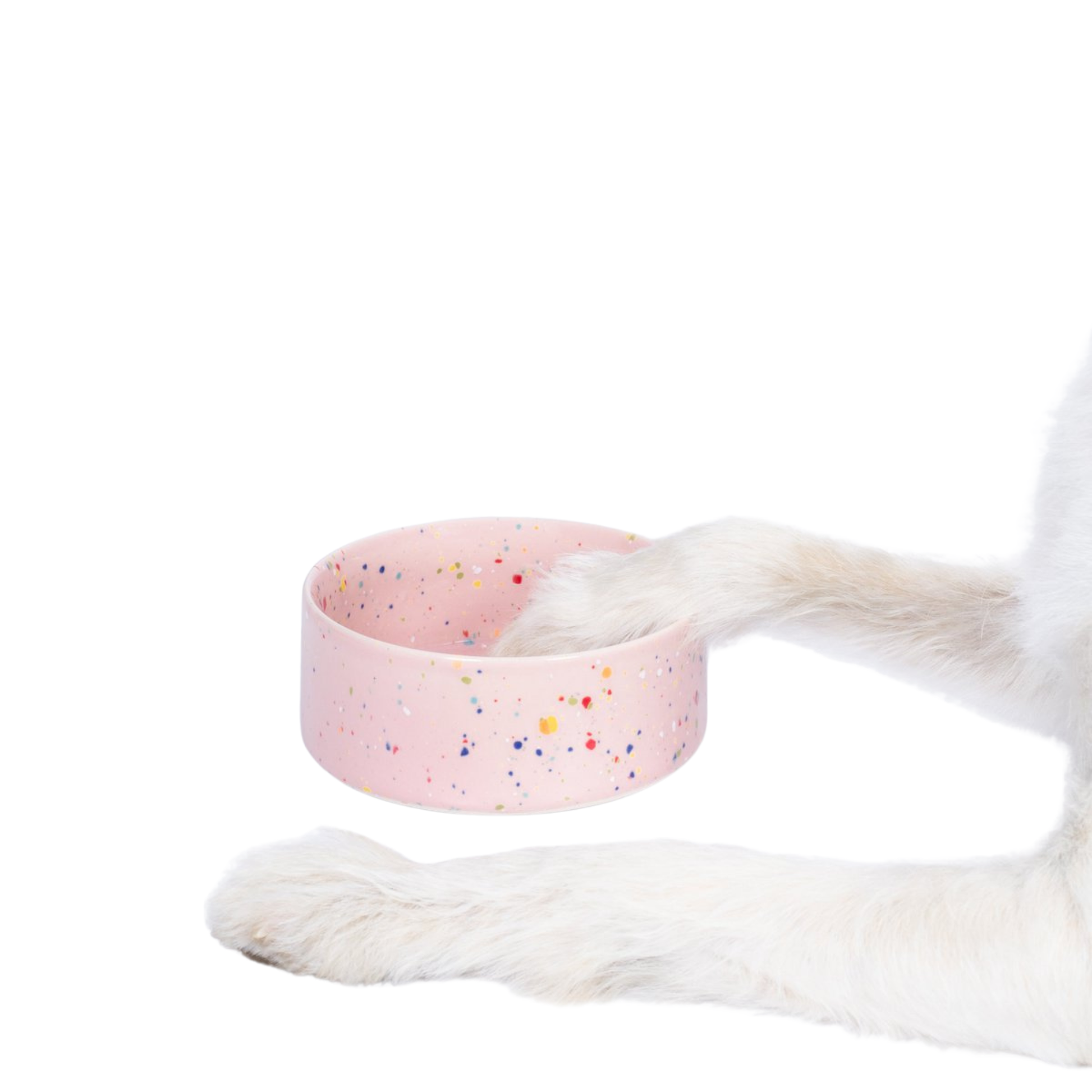 Futternapf Keramik Haustier-Schüssel Set 2-teilig Pink