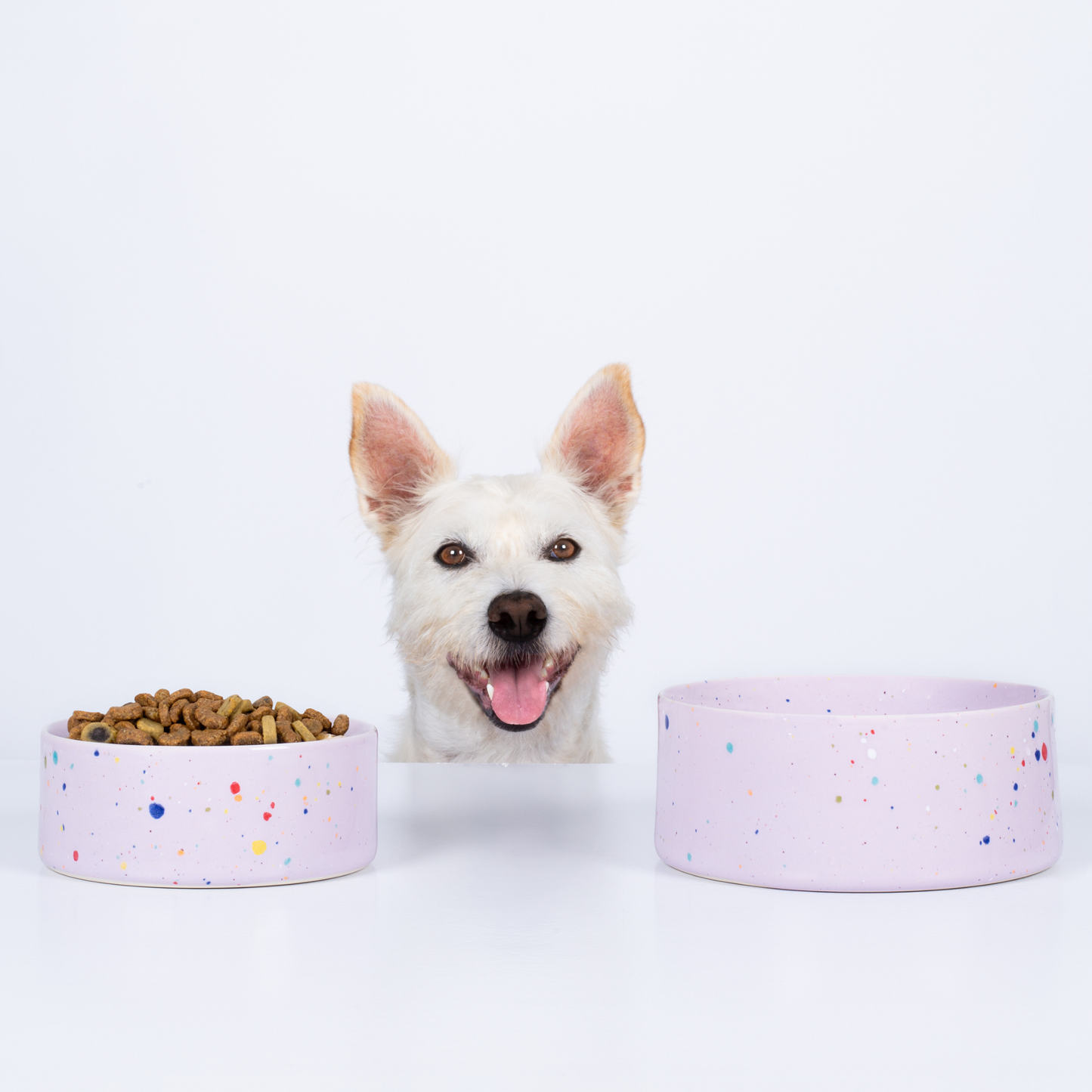 Futternapf Keramik Haustier-Schüssel Set 2-teilig Lila klein