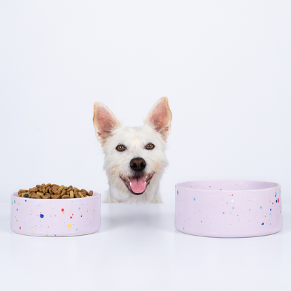 Futternapf Keramik Haustier-Schüssel Set 2-teilig Lila klein