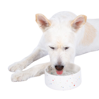 Futternapf Keramik Haustier-Schüssel Set 2-teilig Weiss